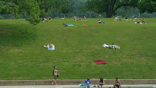 Barton Springs Municipal Pool thumb 7